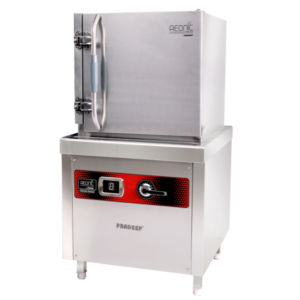 induction steamer