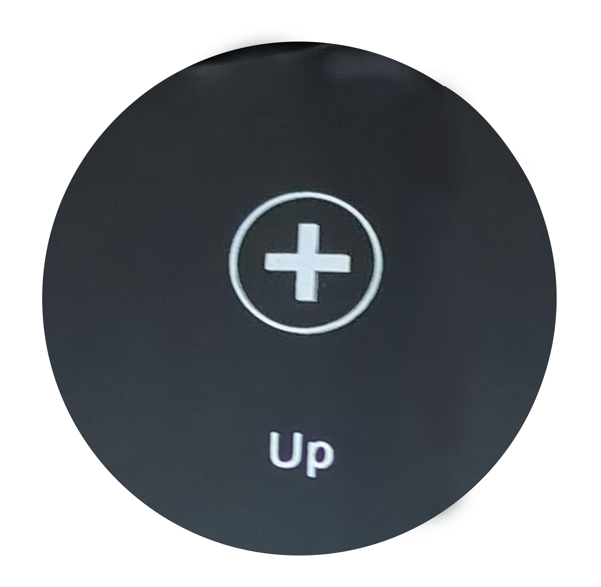 Table Top Induction Chafer Warmer