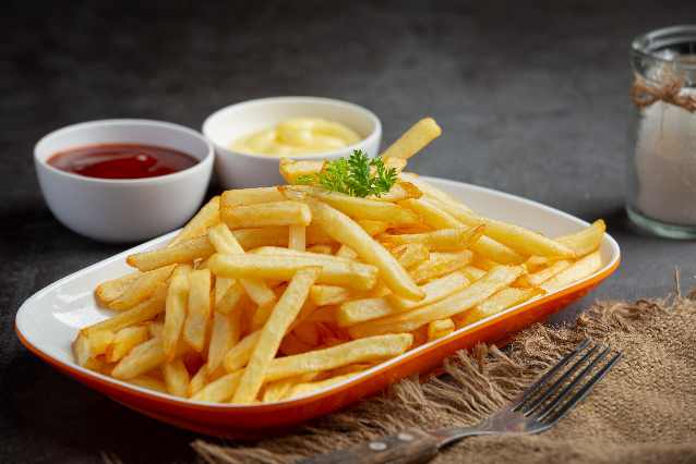 Table Top Deep Fryer